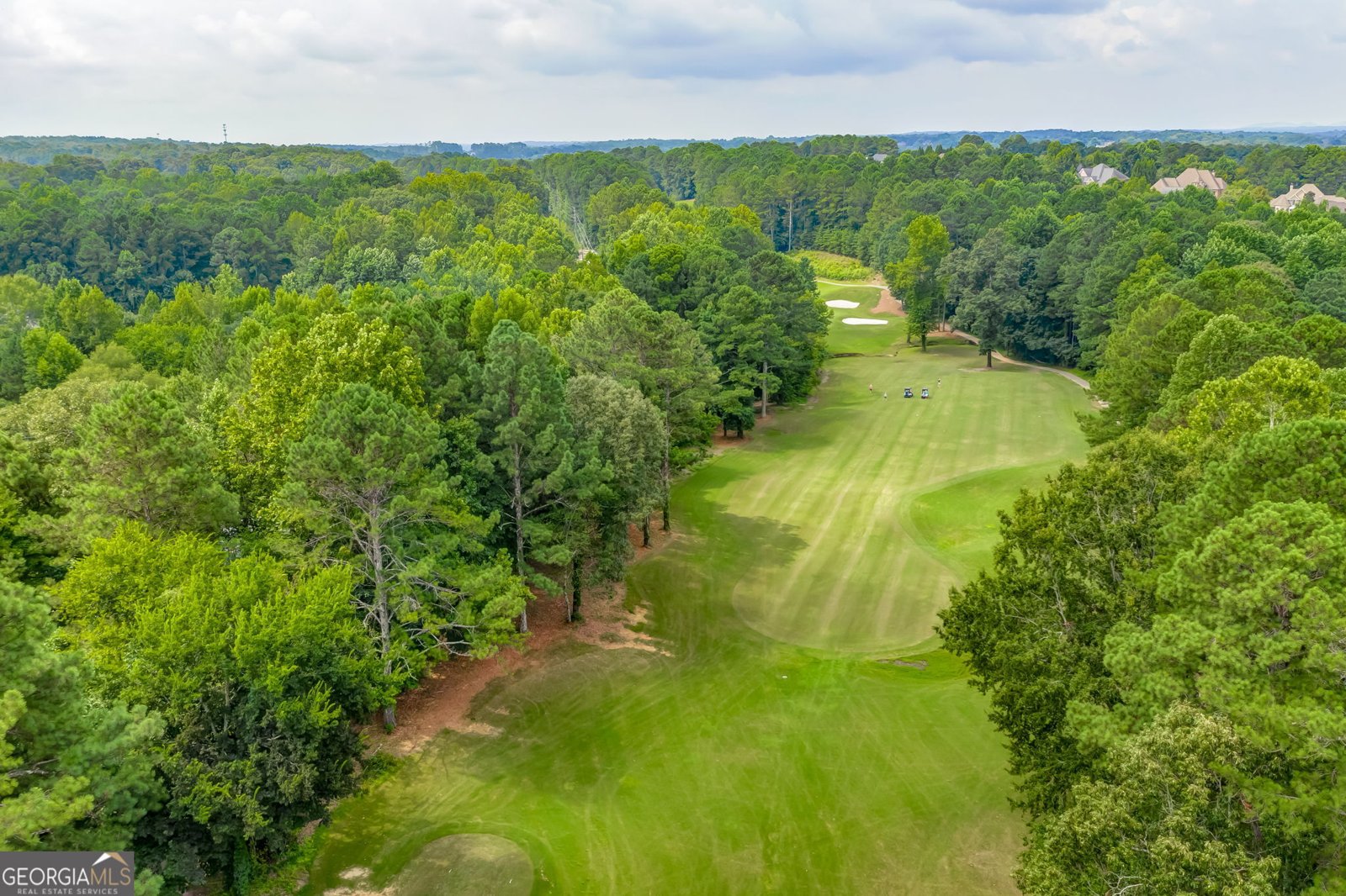 4147 Gold Mill Ridge Canton - Photo 76