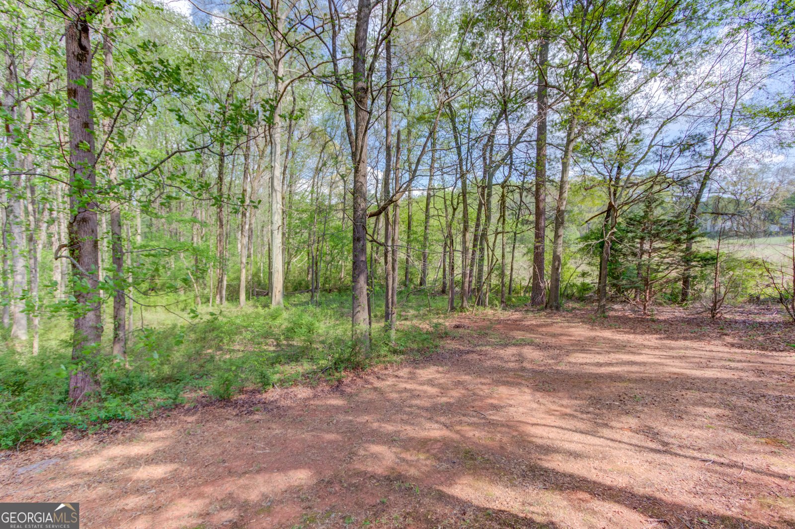 925 Nature Trail Bethlehem - Photo 35