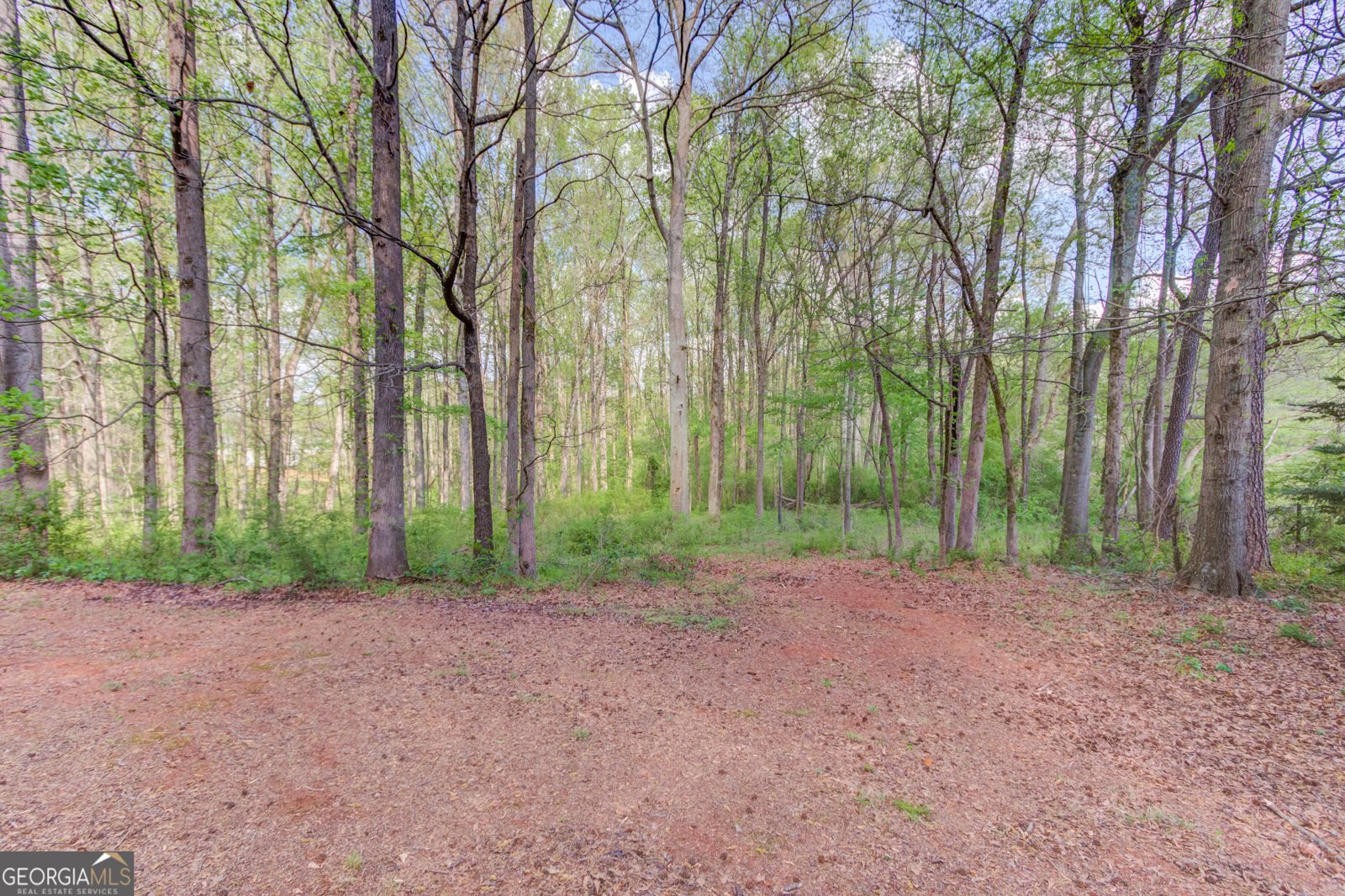 925 Nature Trail Bethlehem - Photo 36