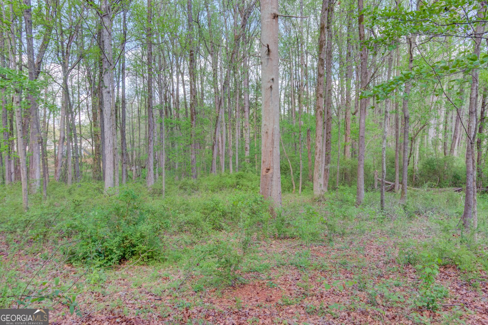 925 Nature Trail Bethlehem - Photo 38