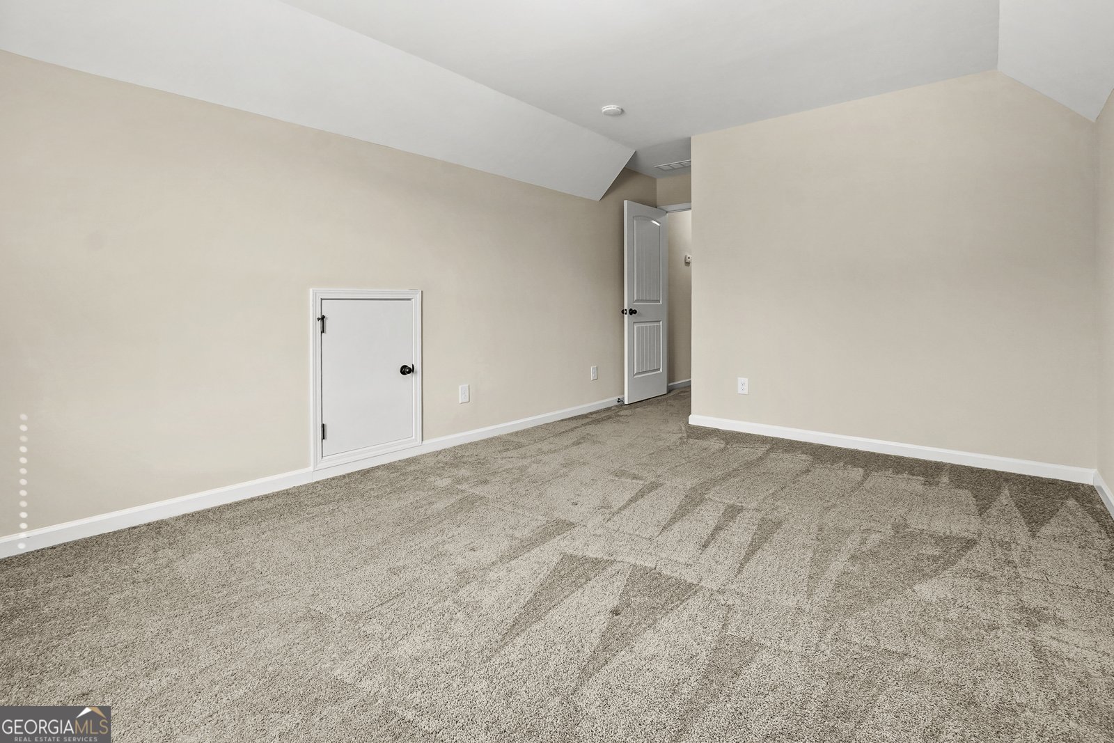 110 Moreland Oaks Drive Moreland - Photo 44