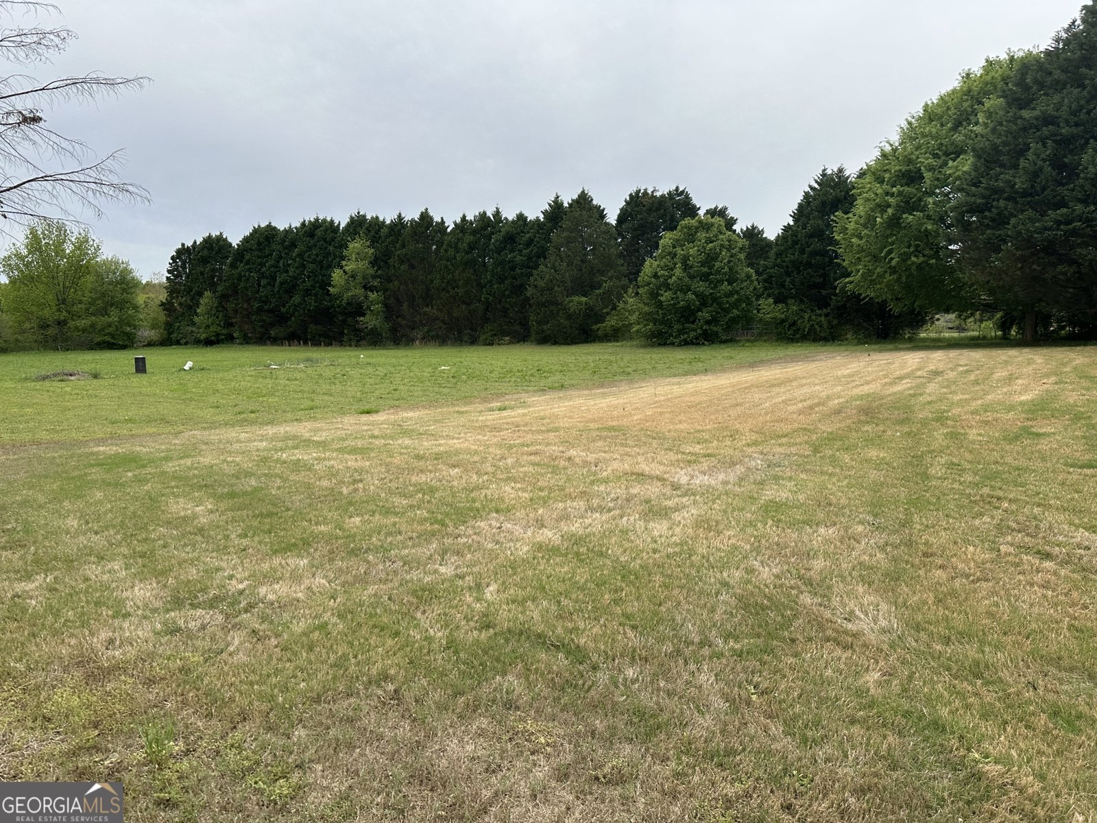 407 High Falls Road Jackson - Photo 9