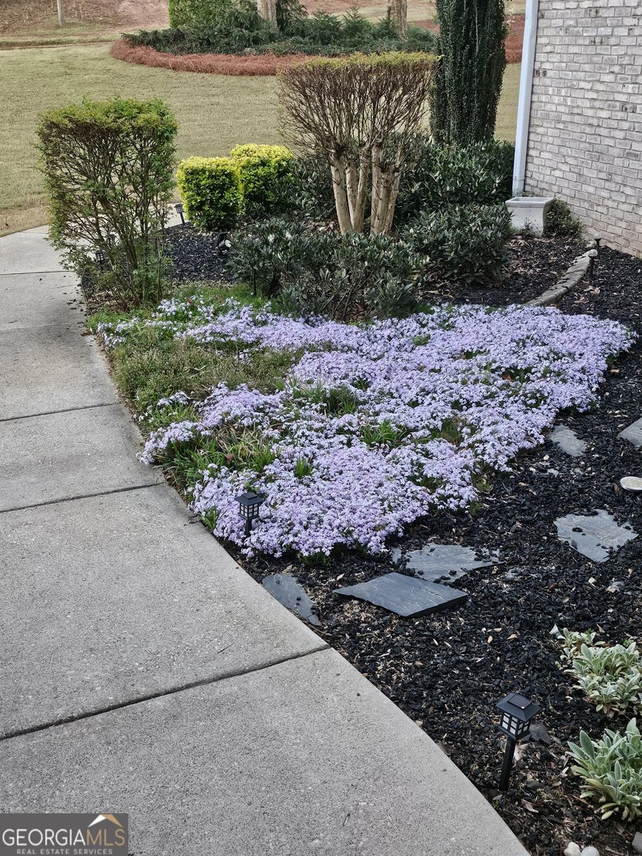 6160 Montlake Avenue McDonough - Photo 79