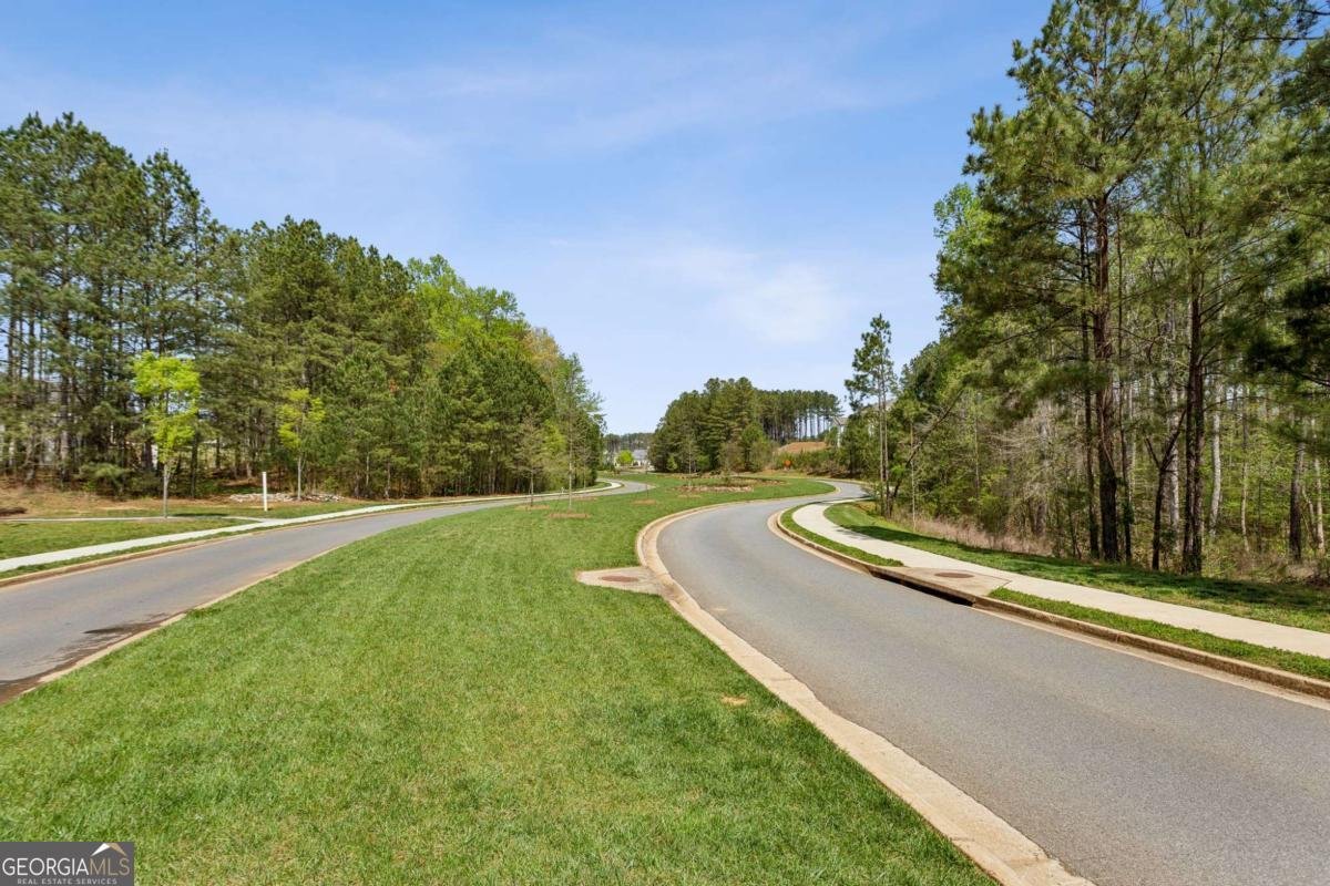 443 Southland Circle Canton - Photo 59