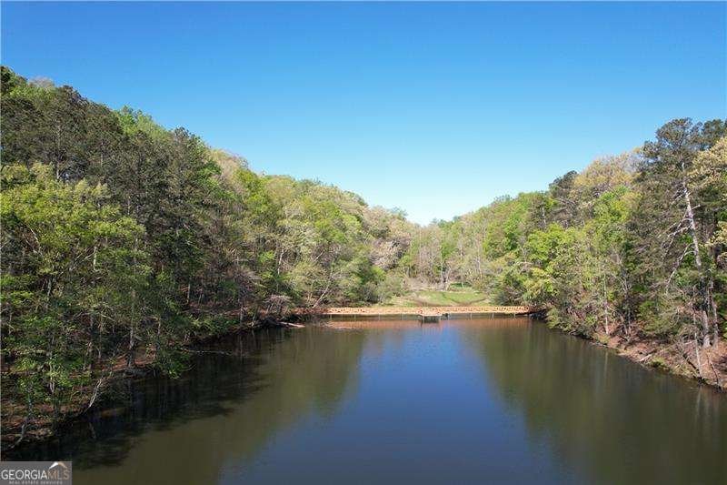 315 Peninsula Point Canton - Photo 68