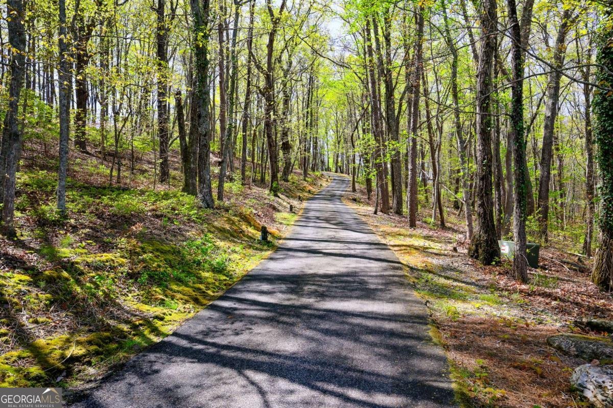 6795 Dawg Ridge Dawsonville - Photo 63