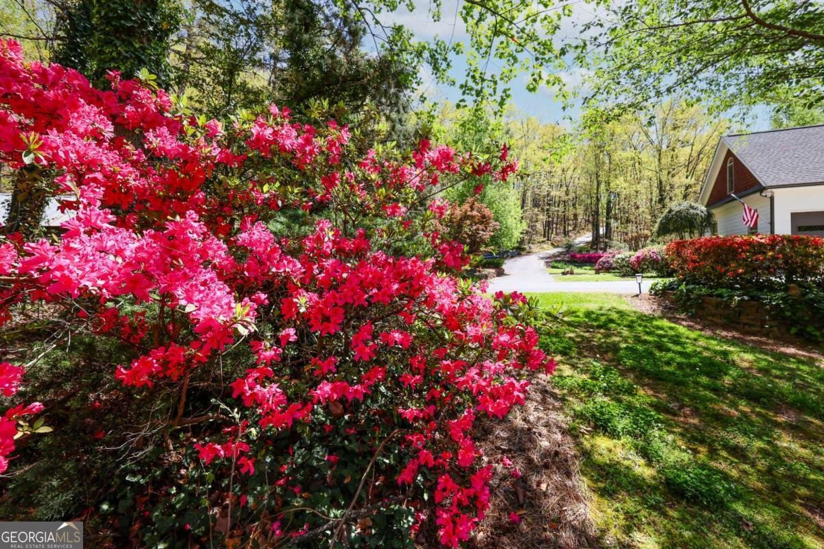 6795 Dawg Ridge Dawsonville - Photo 65