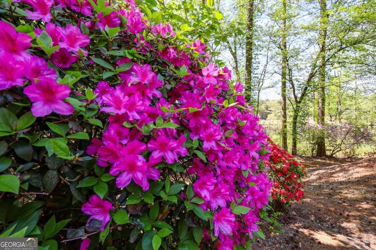 6795 Dawg Ridge Dawsonville - Photo 74