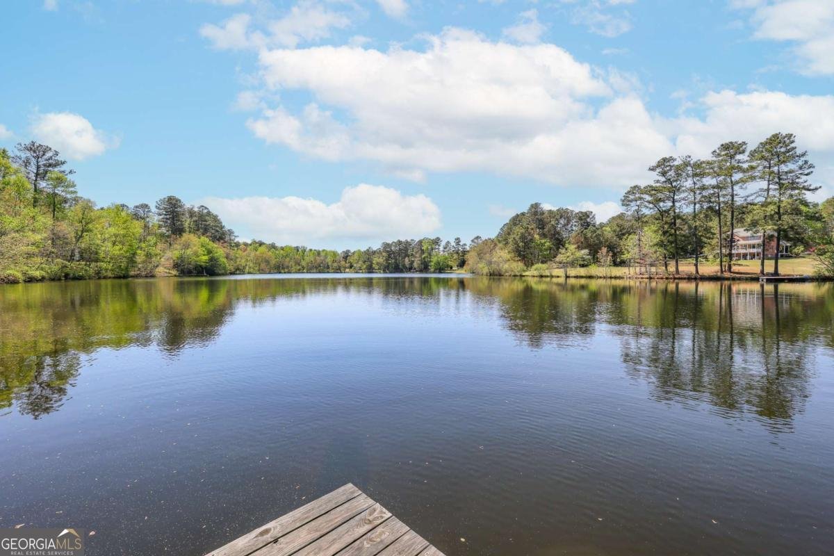 6795 Dawg Ridge Dawsonville - Photo 76