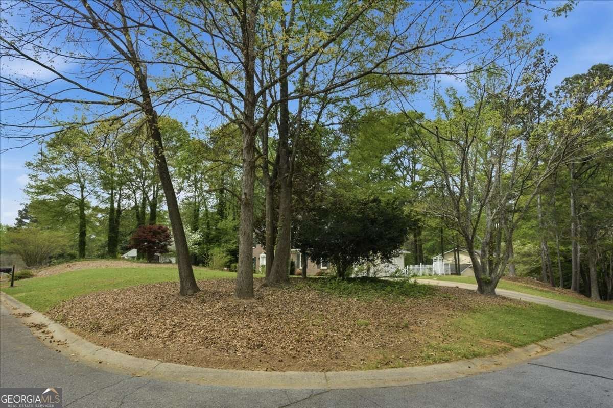 2809 Baronet Court Duluth - Photo 31