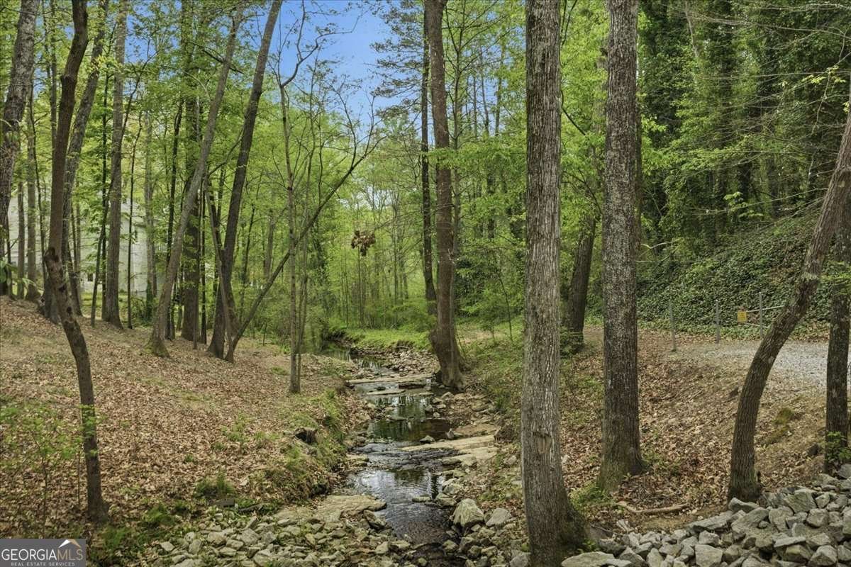 2809 Baronet Court Duluth - Photo 39