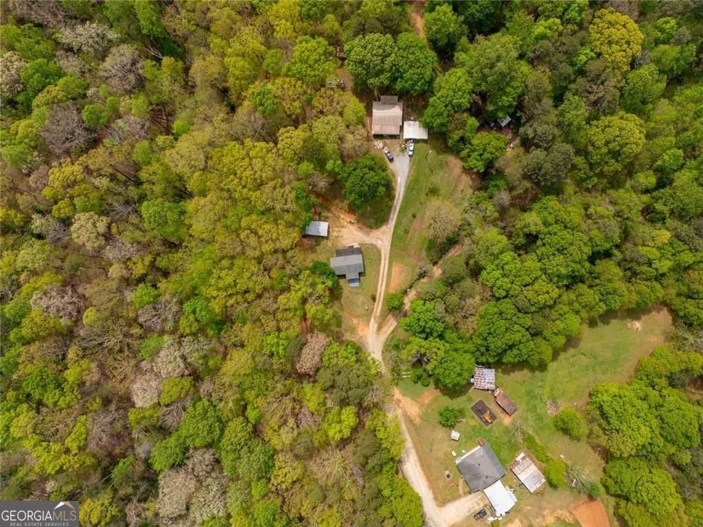 2427 Miller Lane Gainesville - Photo 33