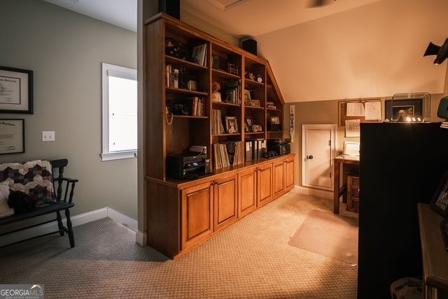 284 Deer Creek Drive Forsyth - Photo 44