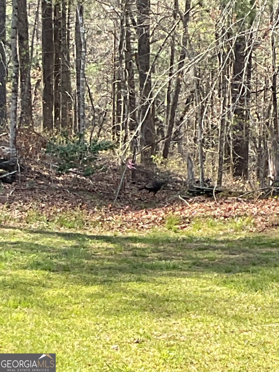 445 Glade Road Clayton - Photo 10