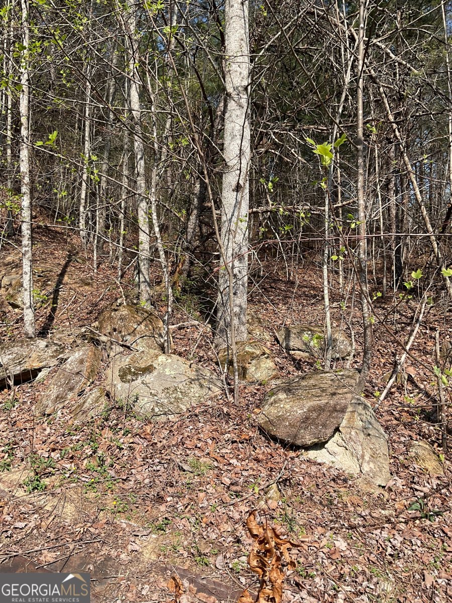 445 Glade Road Clayton - Photo 14