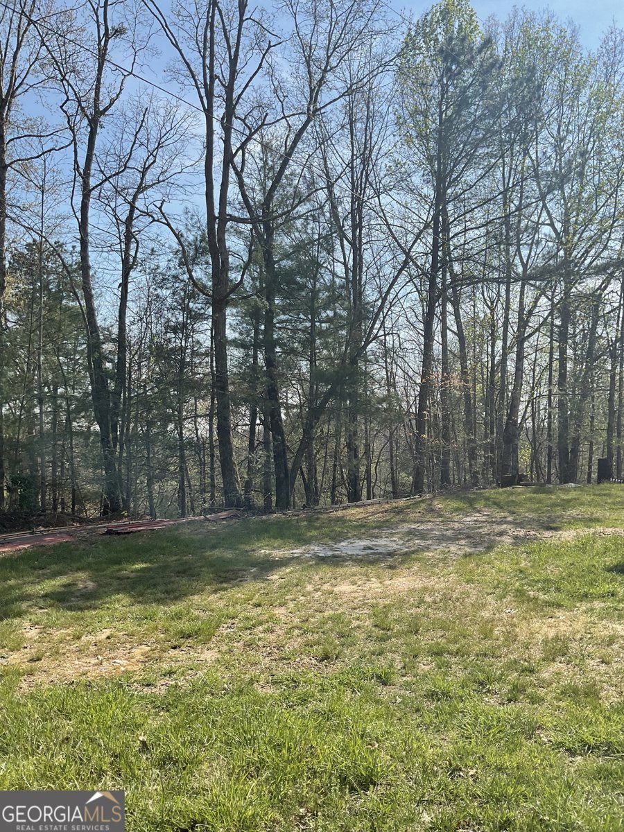 445 Glade Road Clayton - Photo 20