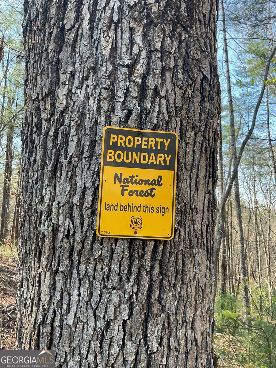 445 Glade Road Clayton - Photo 7