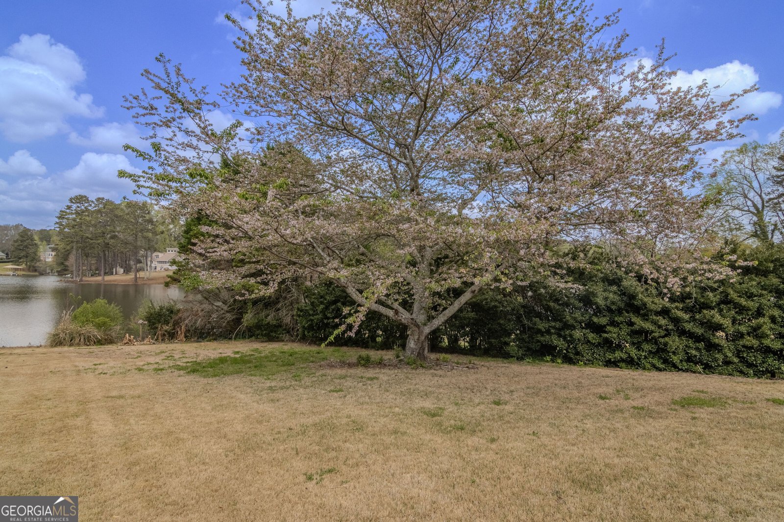 2265 Castle Lake Drive Tyrone - Photo 10