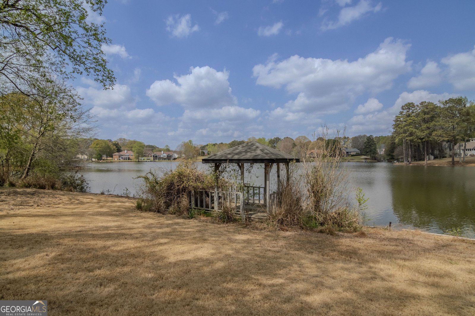 2265 Castle Lake Drive Tyrone - Photo 11