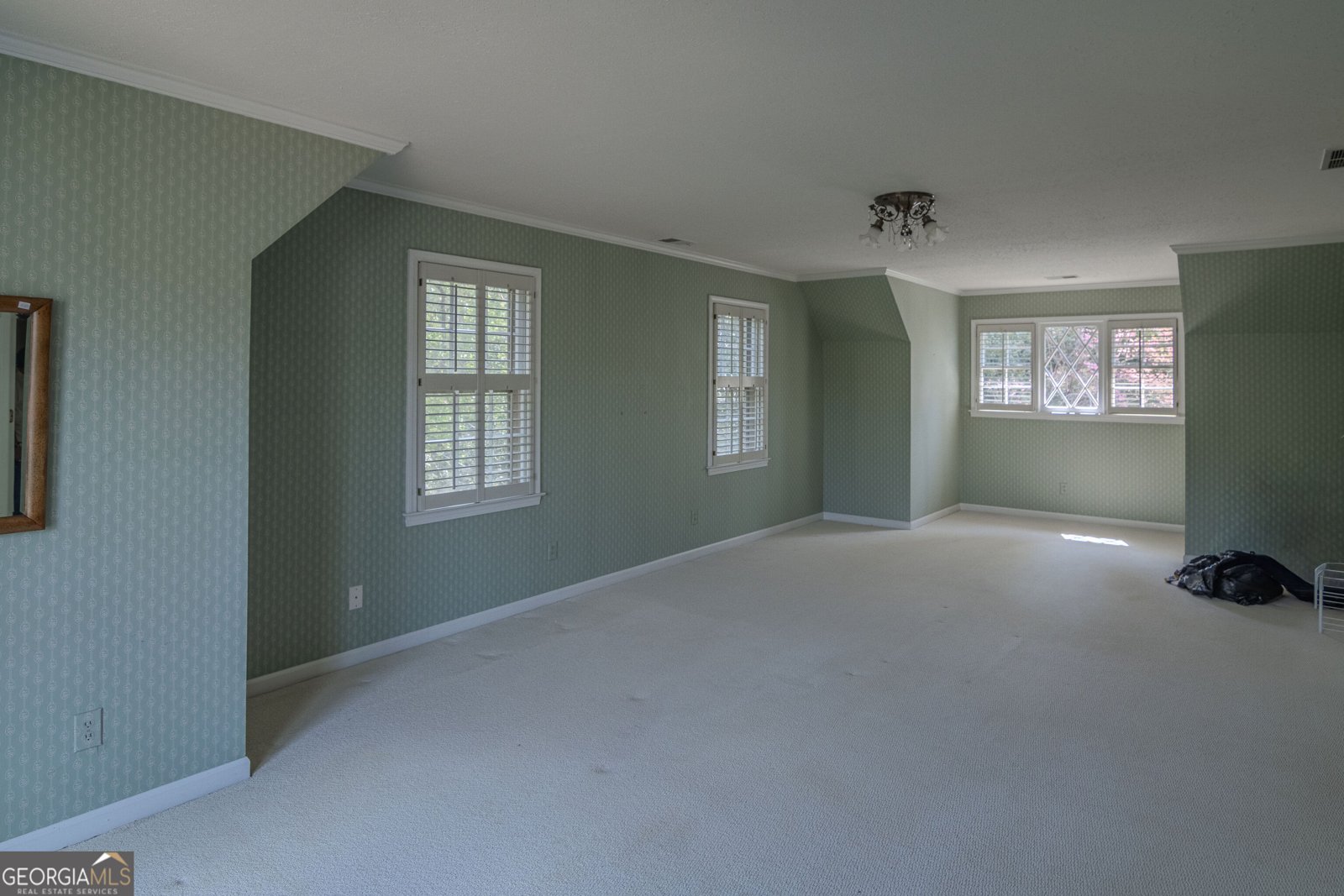 2265 Castle Lake Drive Tyrone - Photo 30