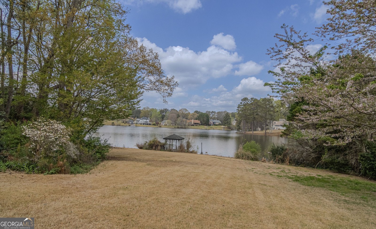 2265 Castle Lake Drive Tyrone - Photo 9