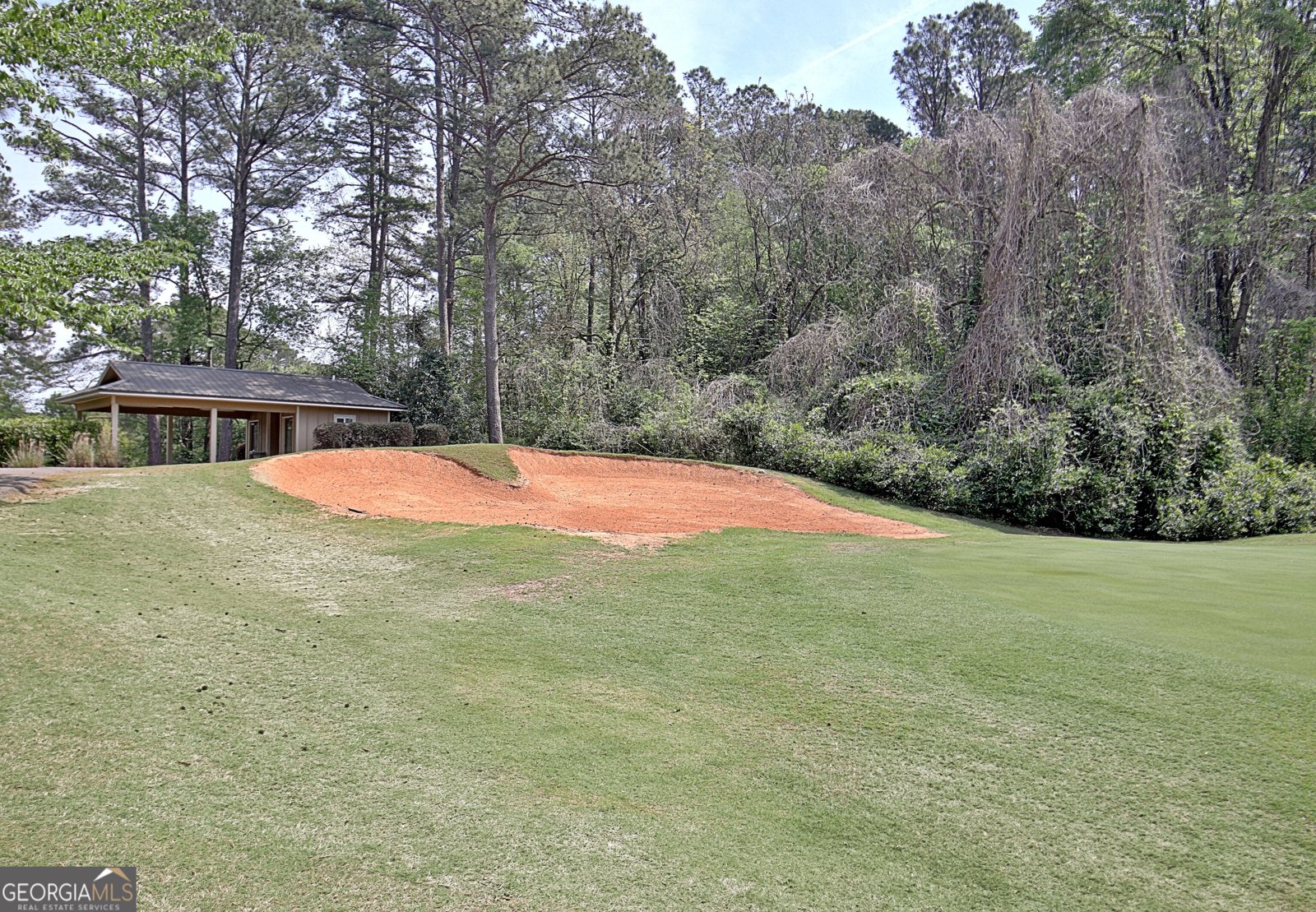 110 Sandtrap Ridge Peachtree City - Photo 76