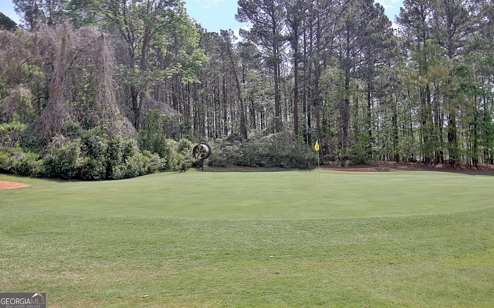110 Sandtrap Ridge Peachtree City - Photo 77