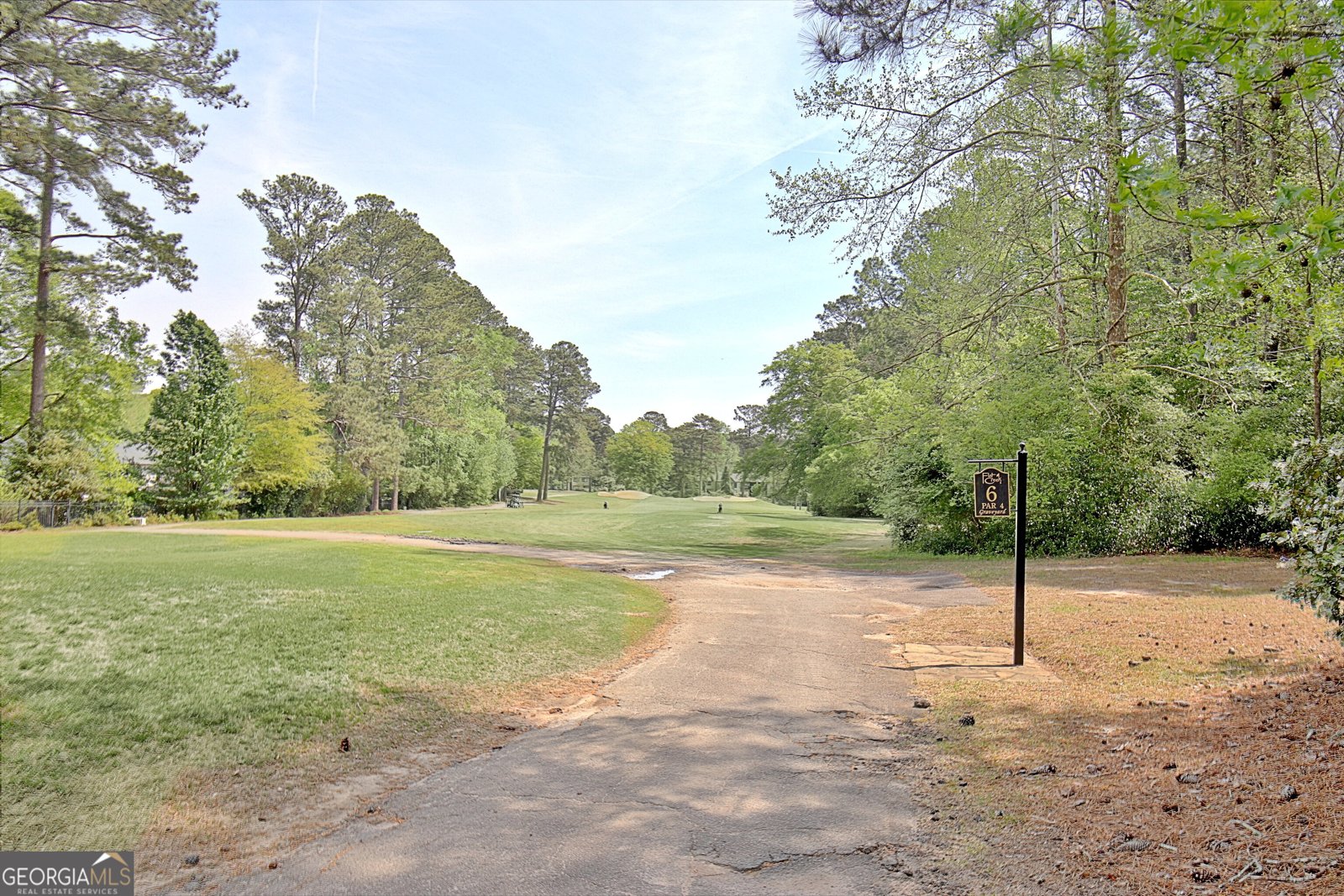 110 Sandtrap Ridge Peachtree City - Photo 78