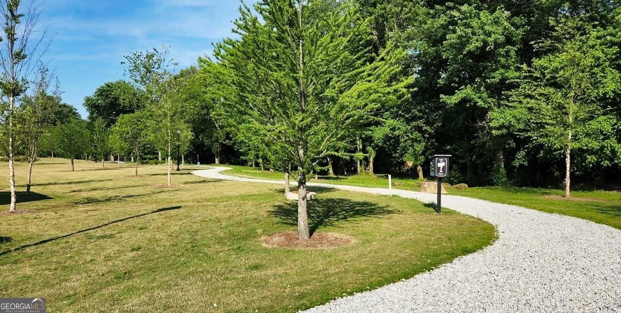 1548 Purple Cone Flower Avenue Smyrna - Photo 30