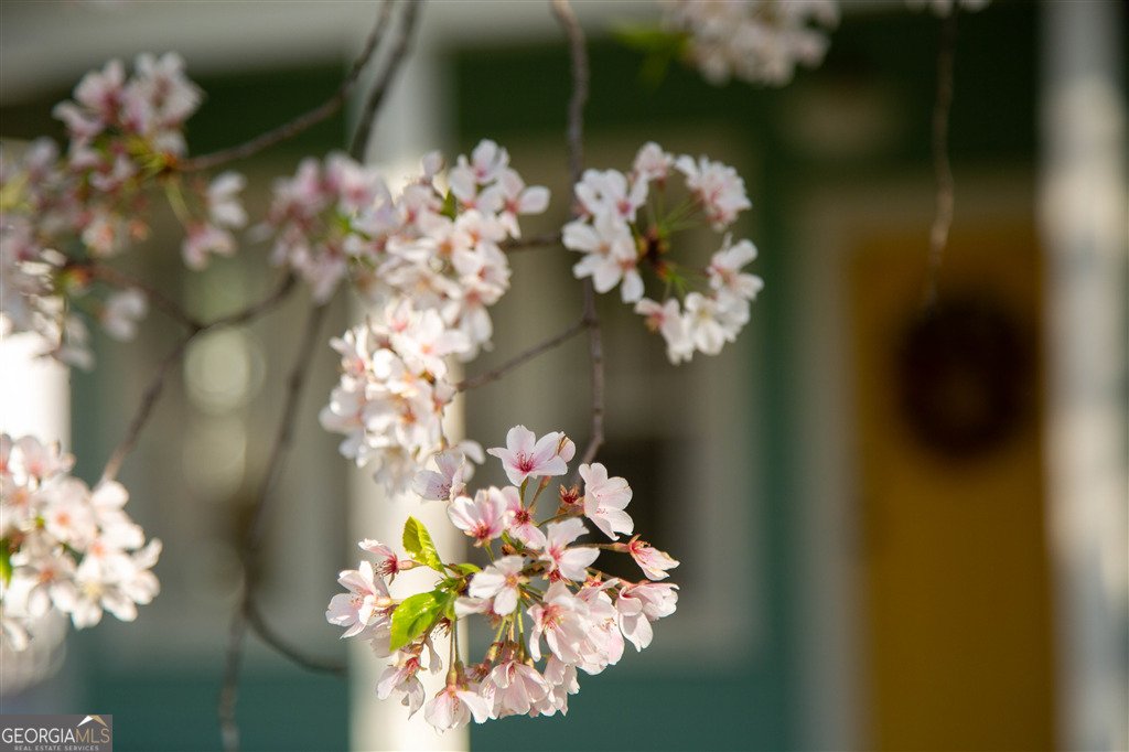 1739 Lyle Avenue College Park - Photo 30