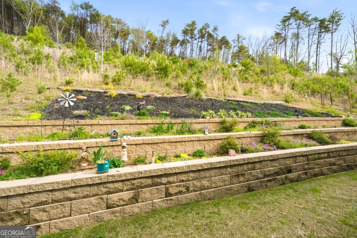 608 Spring Water Waleska - Photo 46