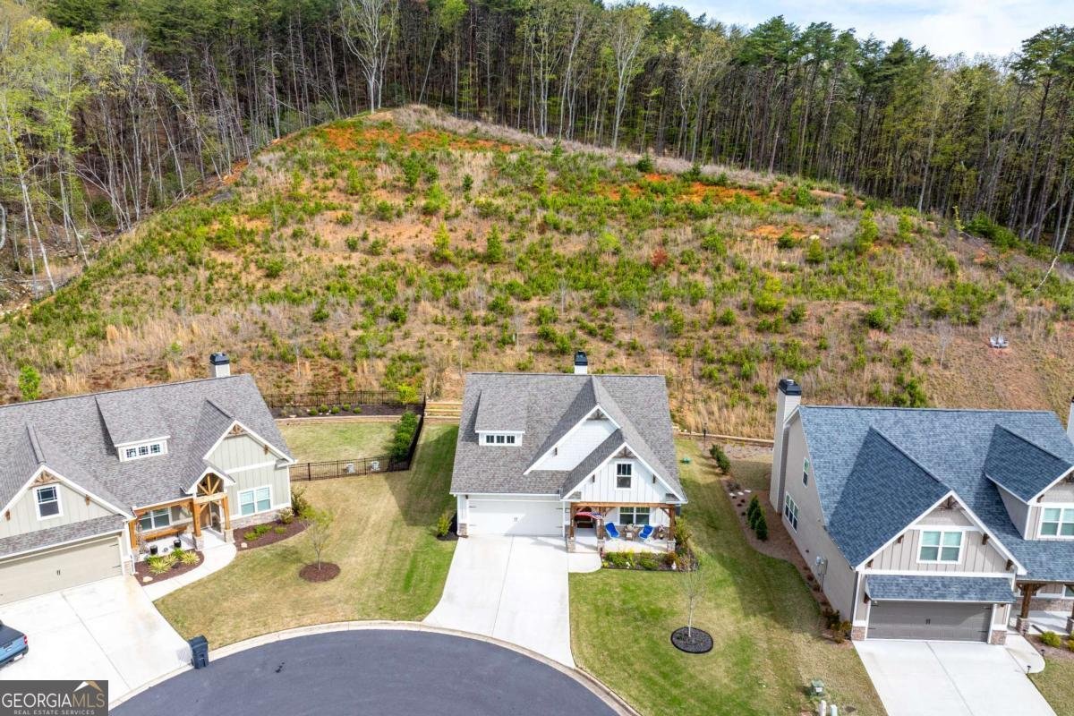 608 Spring Water Waleska - Photo 51