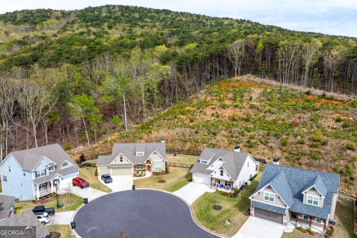 608 Spring Water Waleska - Photo 52