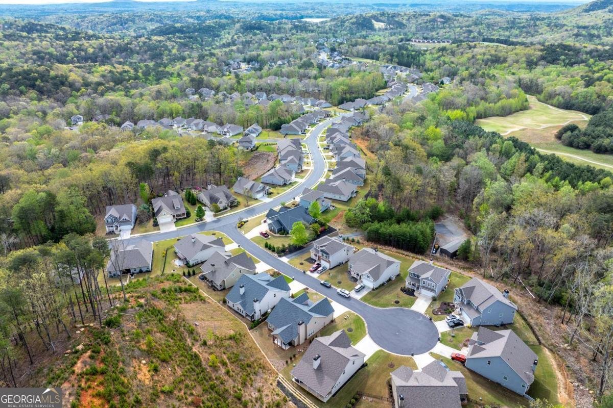 608 Spring Water Waleska - Photo 53