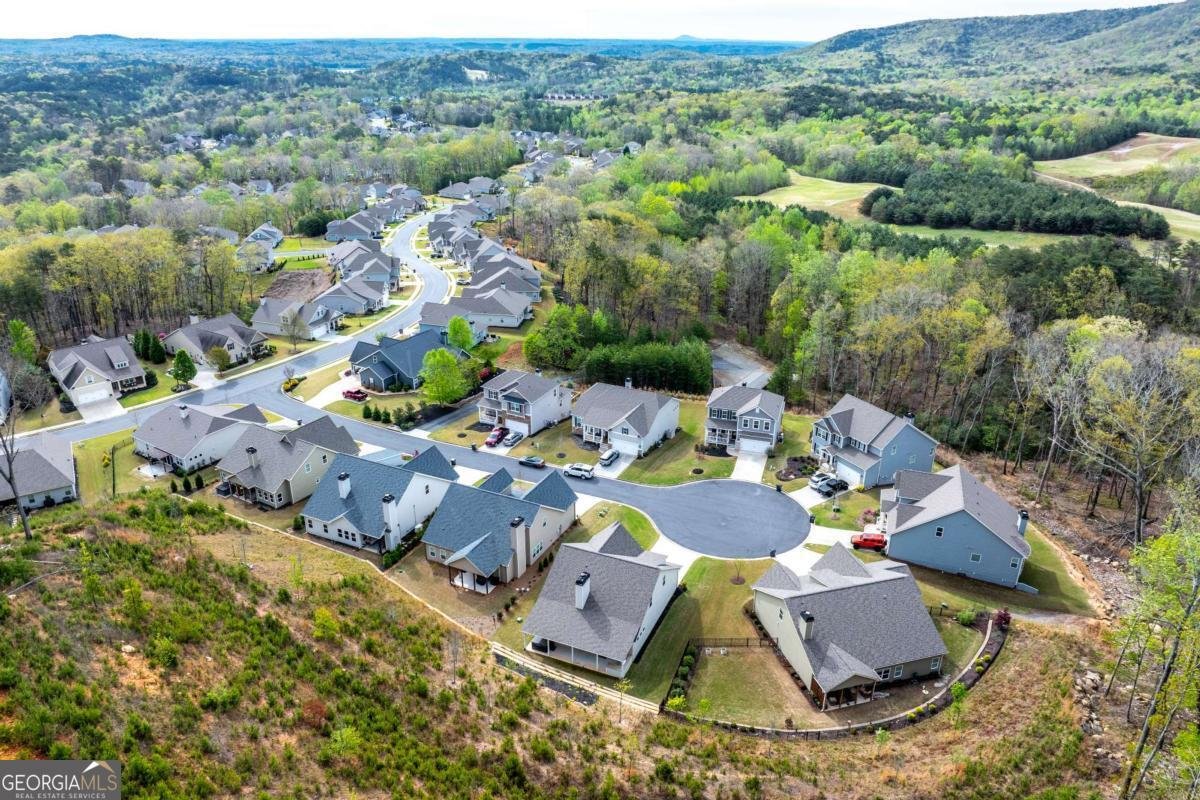 608 Spring Water Waleska - Photo 54