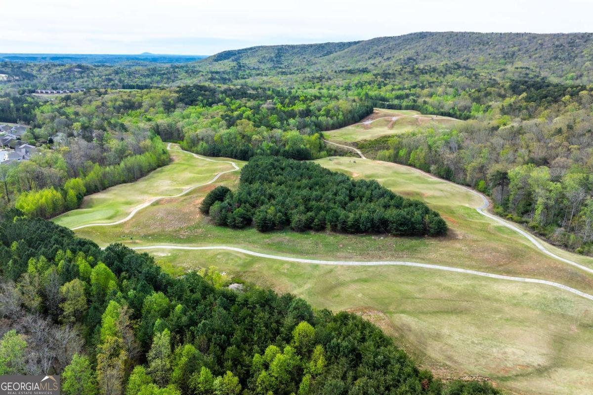 608 Spring Water Waleska - Photo 55