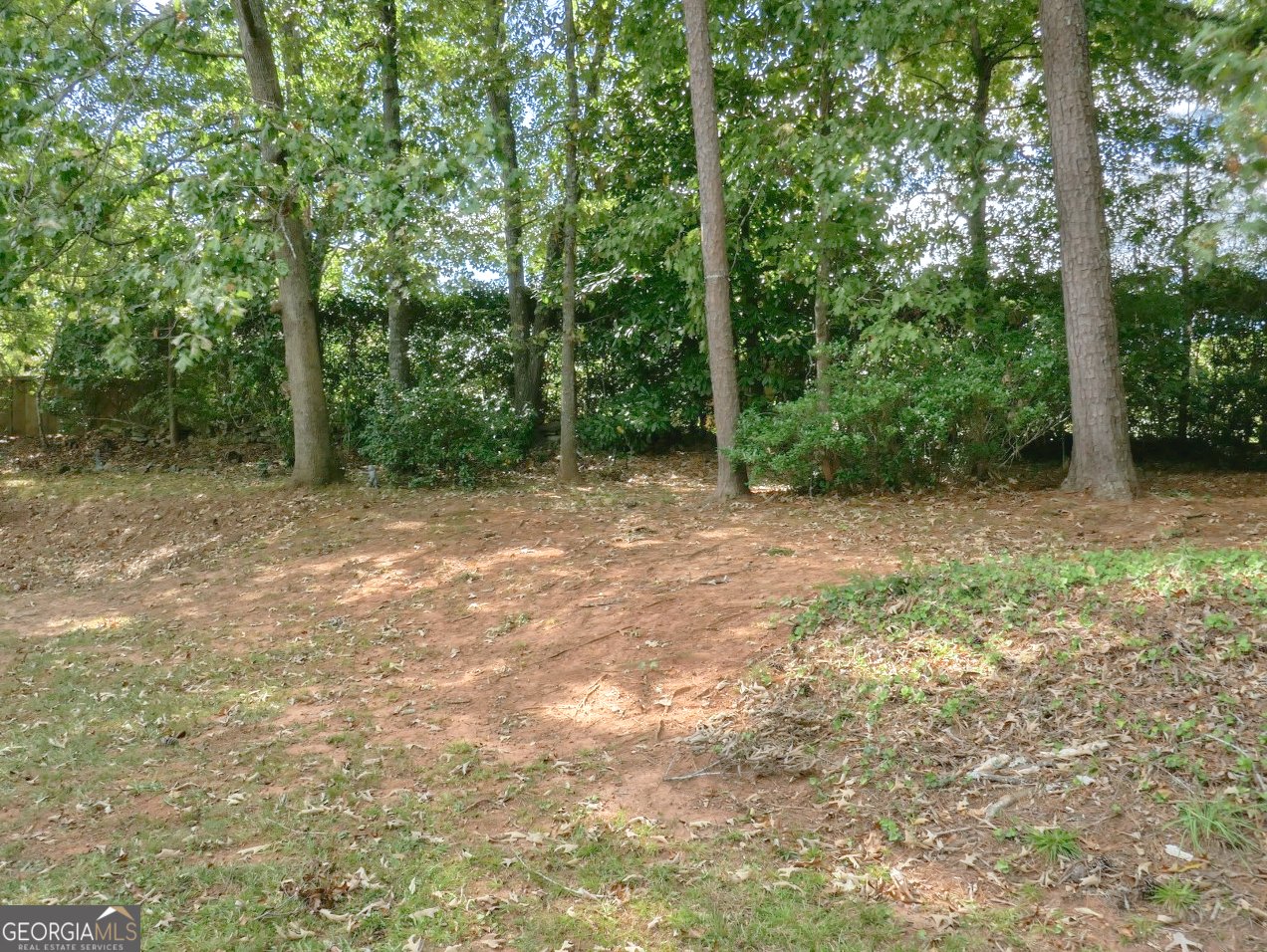 236 HUNTING Court Jonesboro - Photo 26