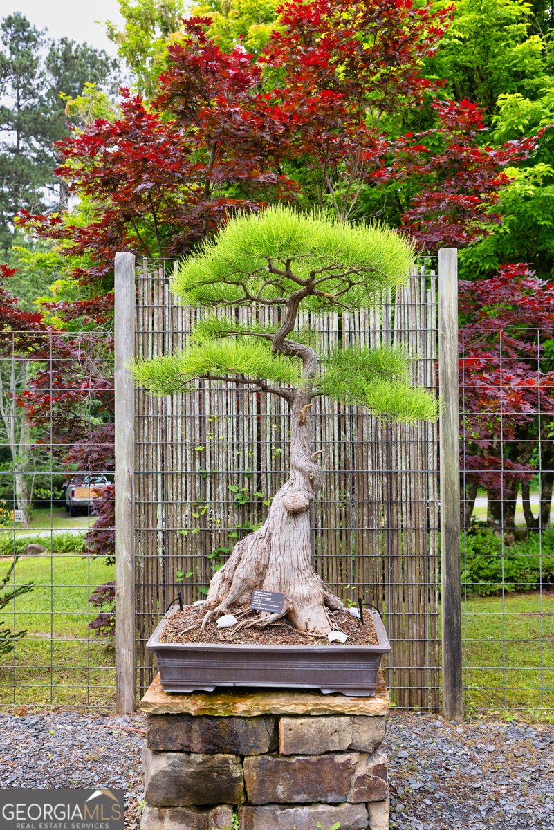 5604 Meadowstone Walk Kennesaw - Photo 36