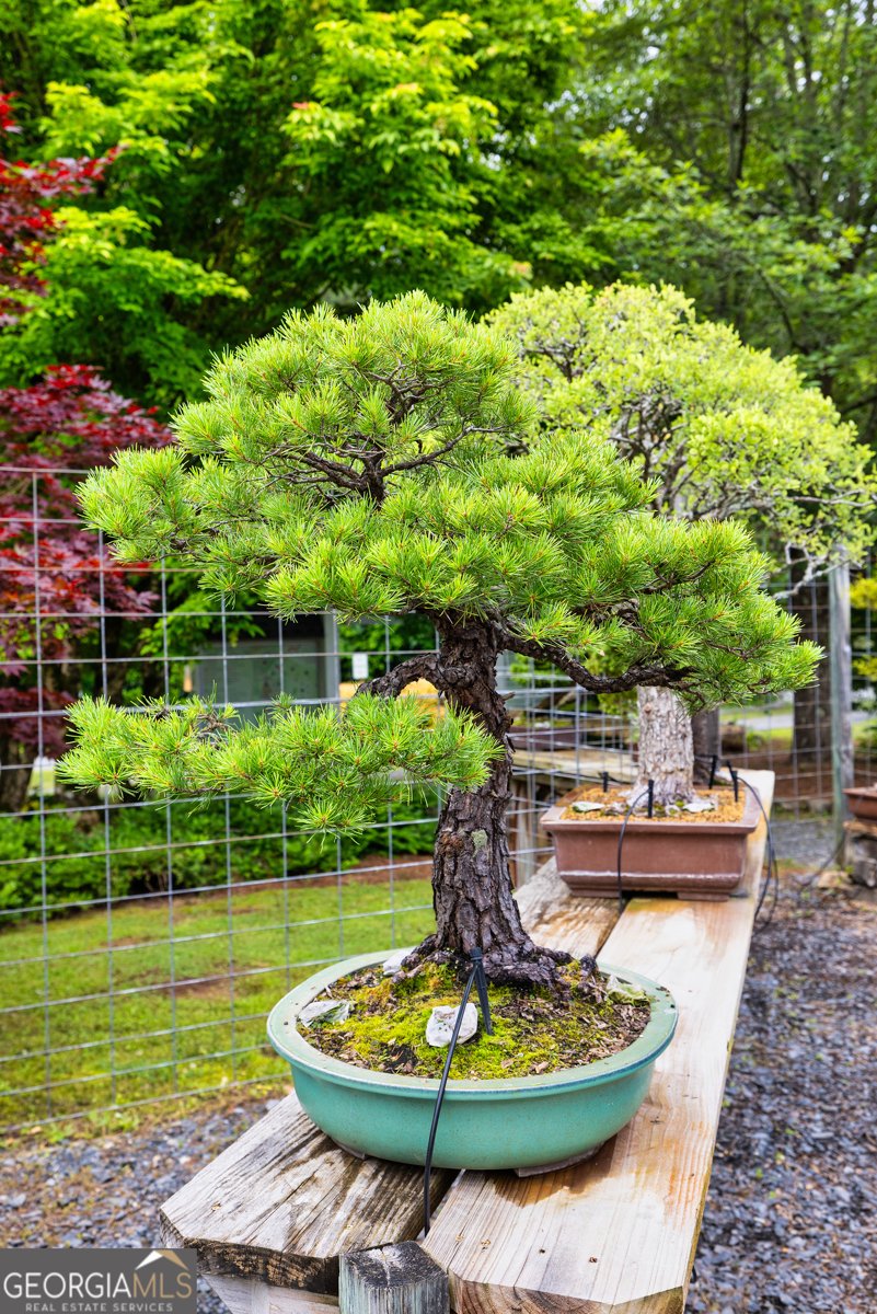 5604 Meadowstone Walk Kennesaw - Photo 37