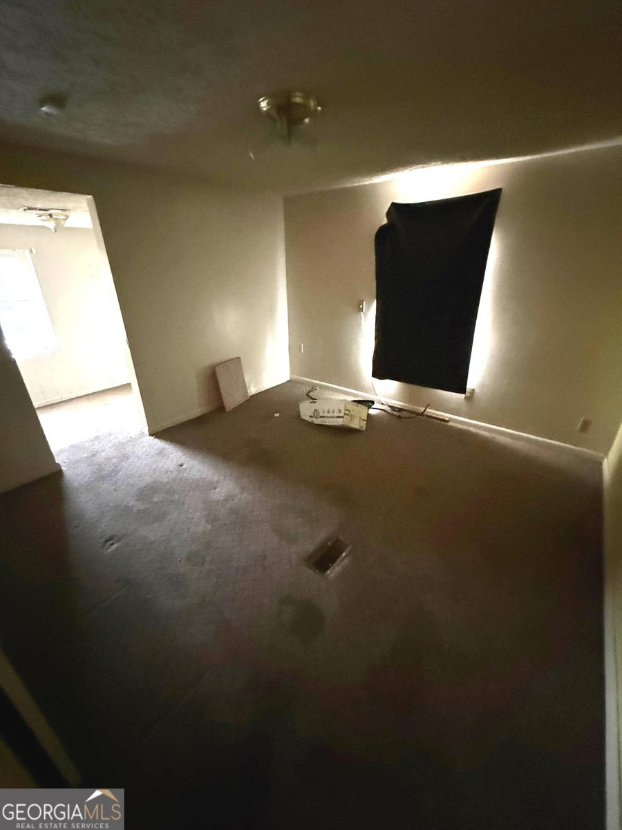 3718 Highway 1 Midville - Photo 17