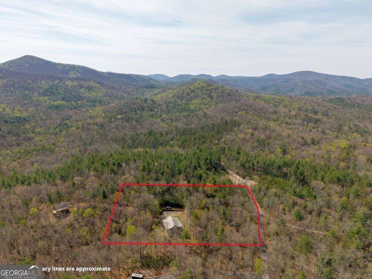 156 Peter Knob Road Blue Ridge - Photo 29