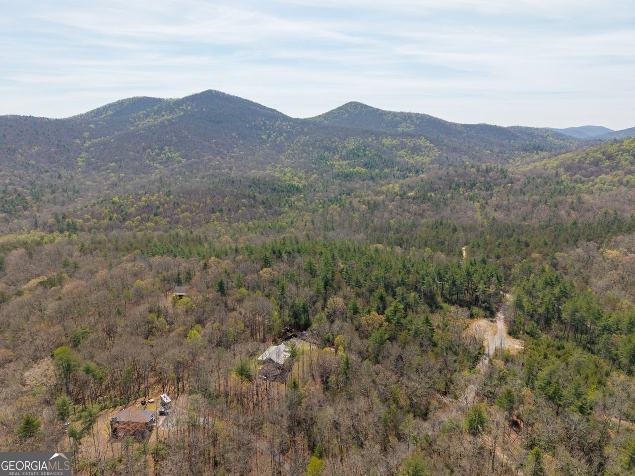 156 Peter Knob Road Blue Ridge - Photo 30