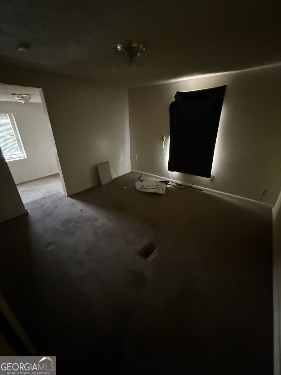 3728 Highway 1 Midville - Photo 23