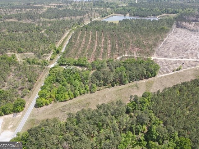 3728 Highway 1 Midville - Photo 8