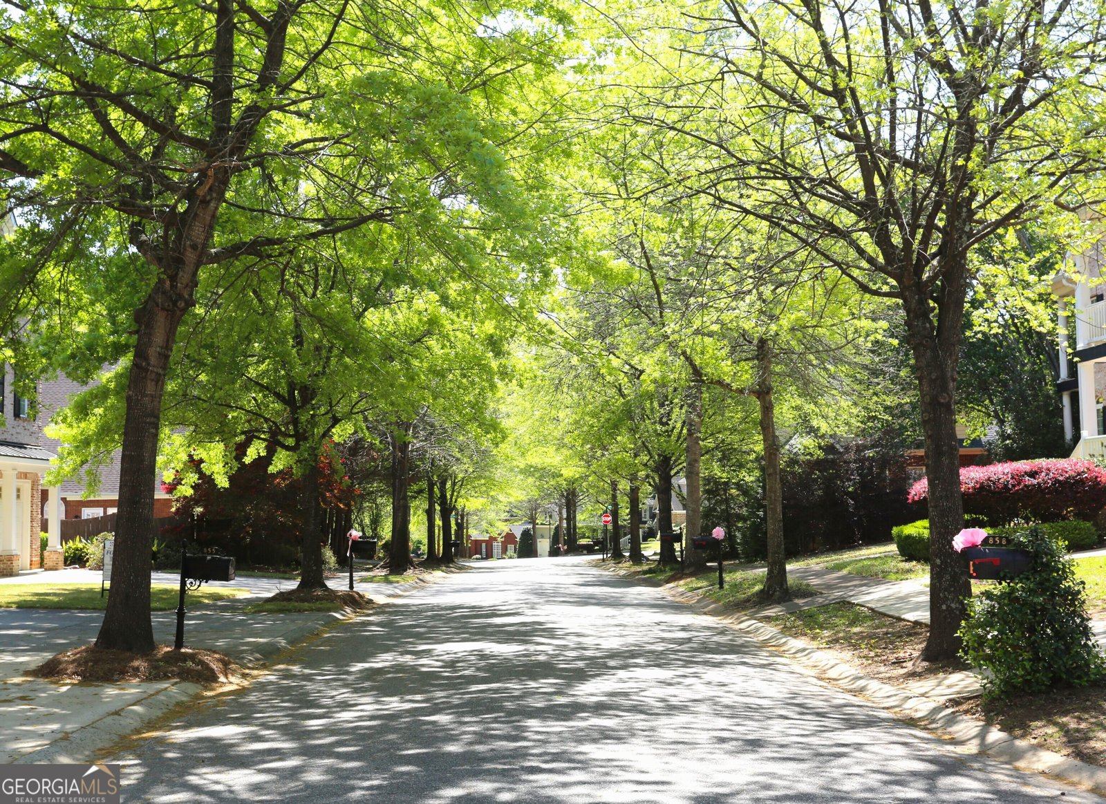 859 Tufthunter Macon - Photo 86