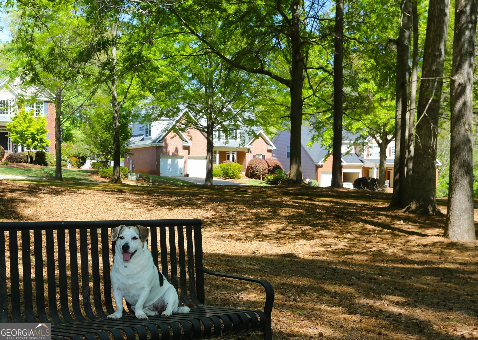 859 Tufthunter Macon - Photo 94