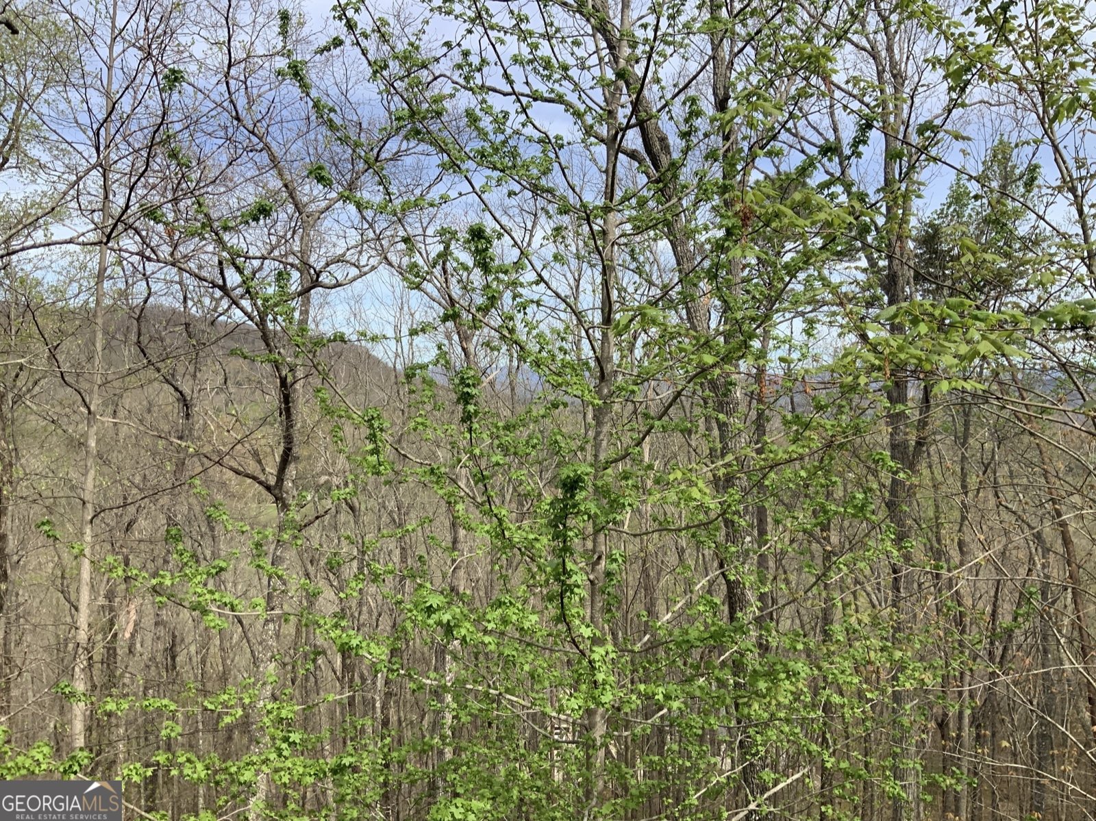 7026 Peebles Road Young Harris - Photo 25