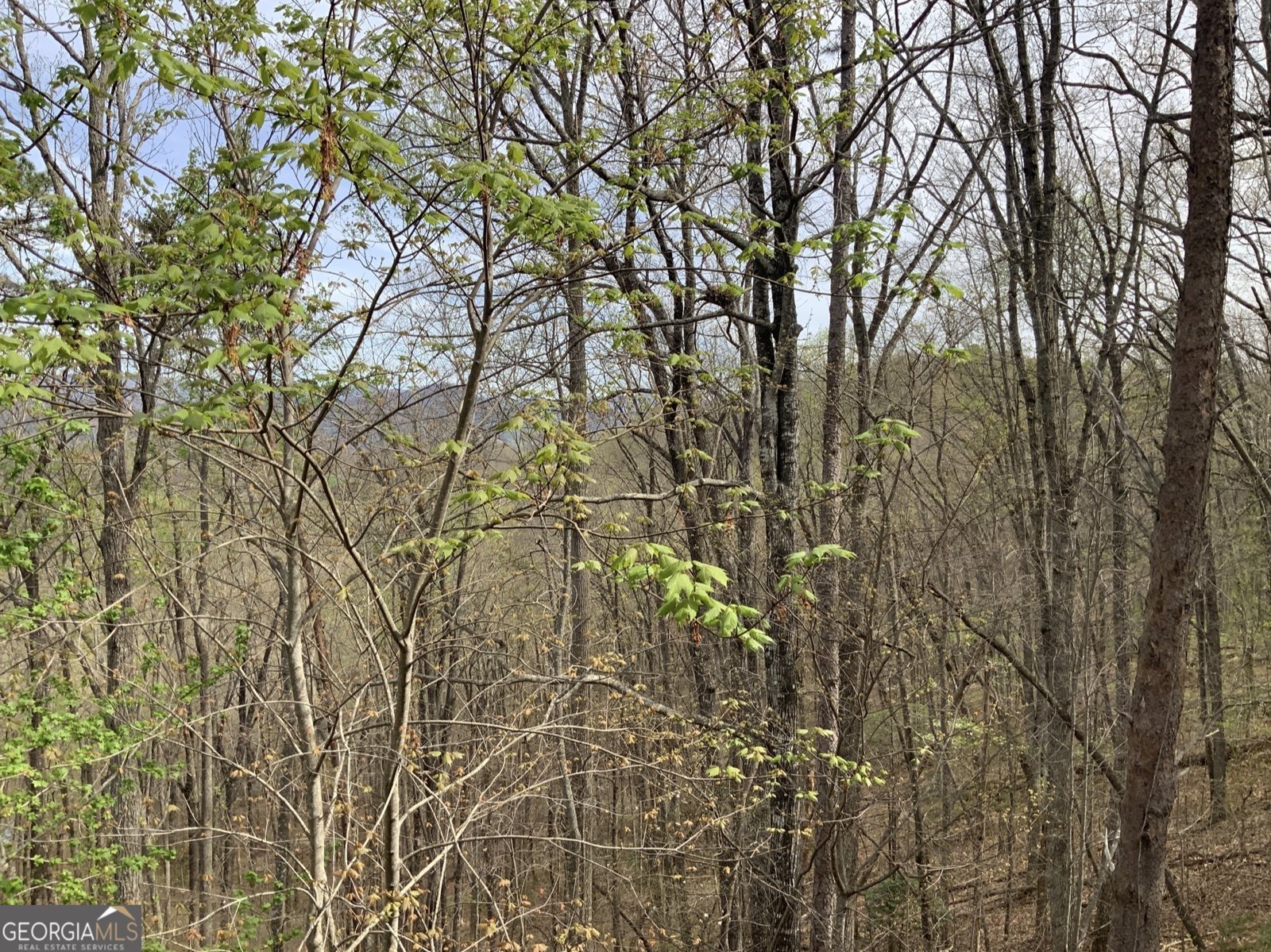 7026 Peebles Road Young Harris - Photo 26