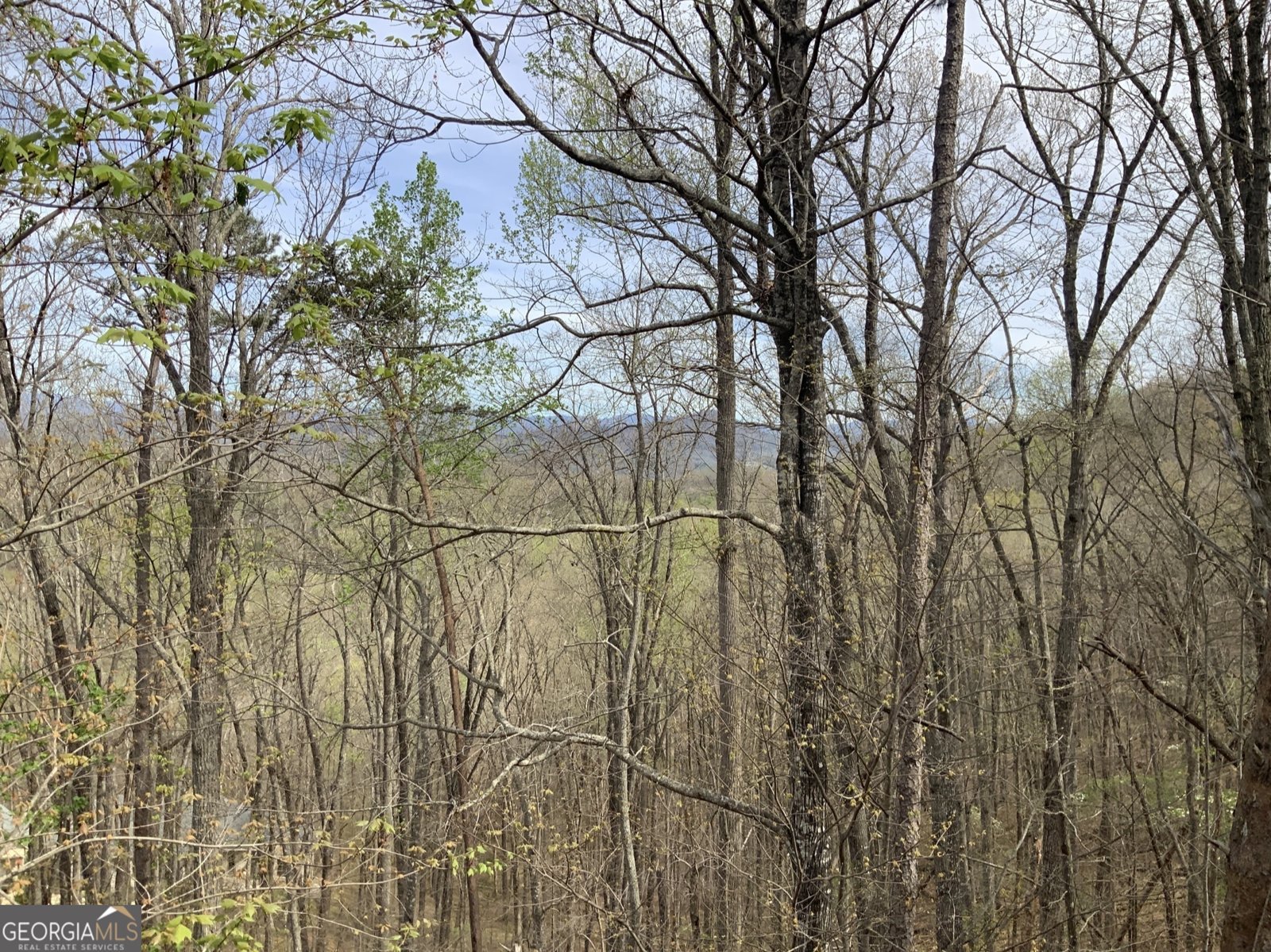 7026 Peebles Road Young Harris - Photo 27