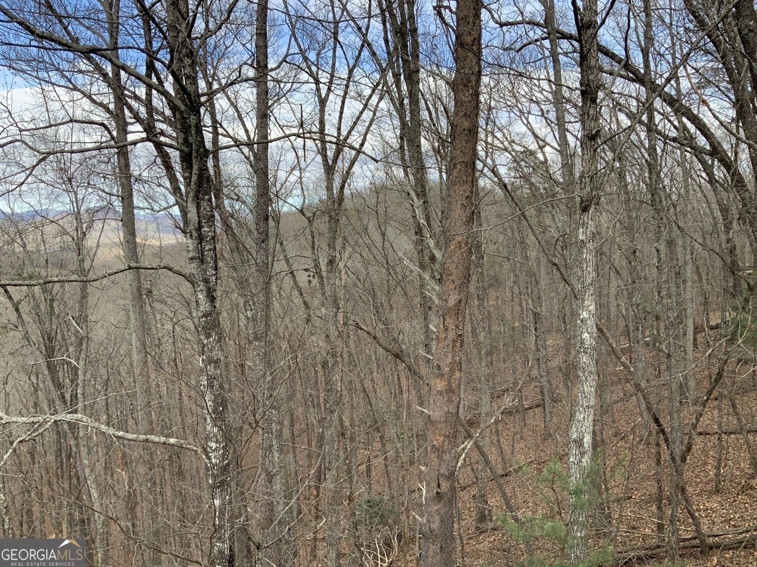 7026 Peebles Road Young Harris - Photo 28